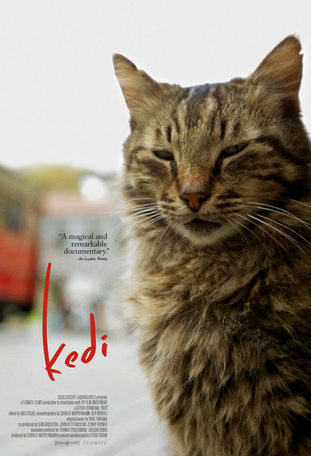 Kedi onesheet 1080x1580