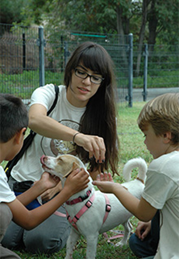 camp1 - Copy