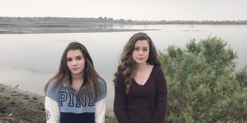 wetlands