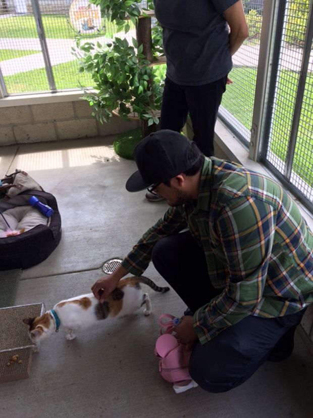 CAtio with June Bug 1 - Copy