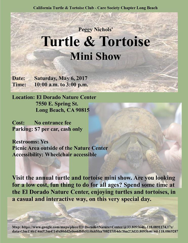 Turtle and Tortoise Mini show - Copy