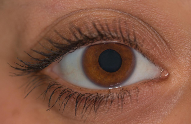 human eye