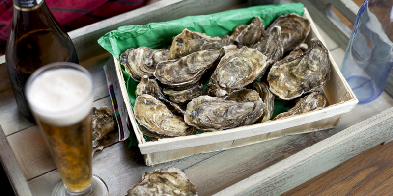 oyster fest