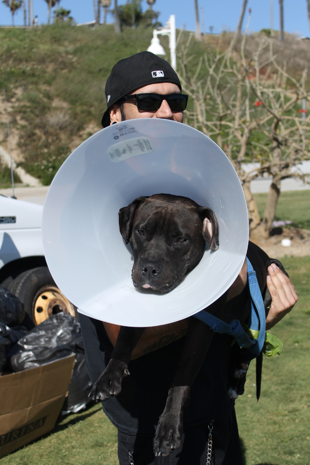 Cone oshame big boyDONE