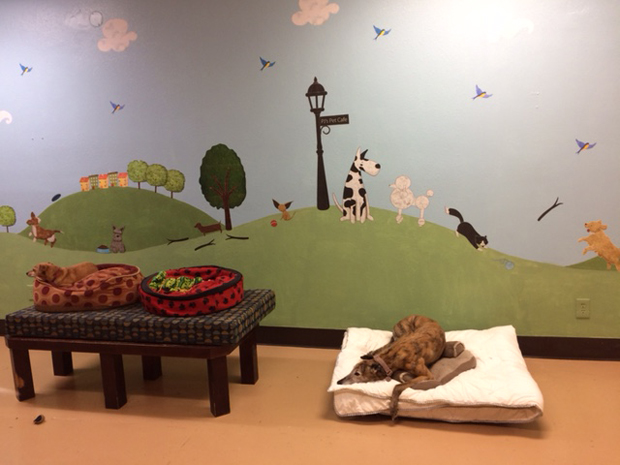 DAy Care room with the greyhound