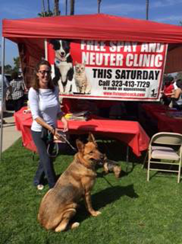 Free Spayneuter clinic this Saturday