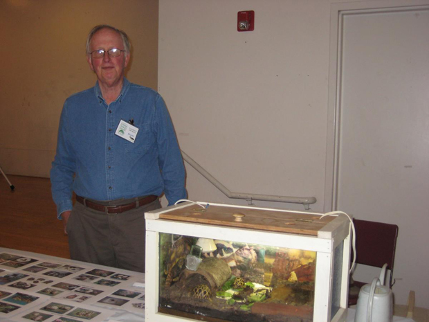 Ralph Hoekstra turtles