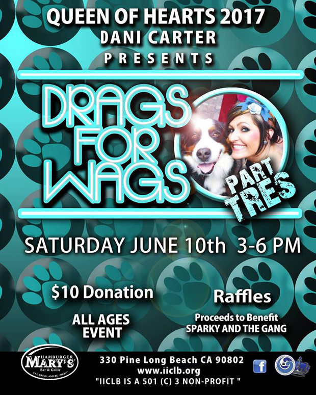 Dogs for WAgs