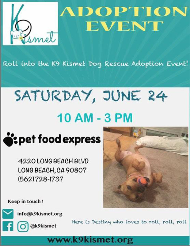 K Kismet REscue event