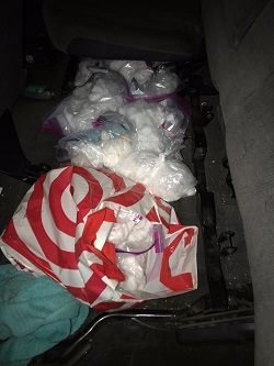 drug bust 2