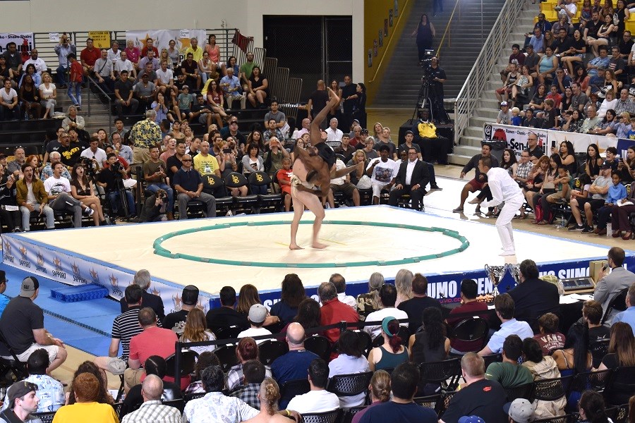 sumo18