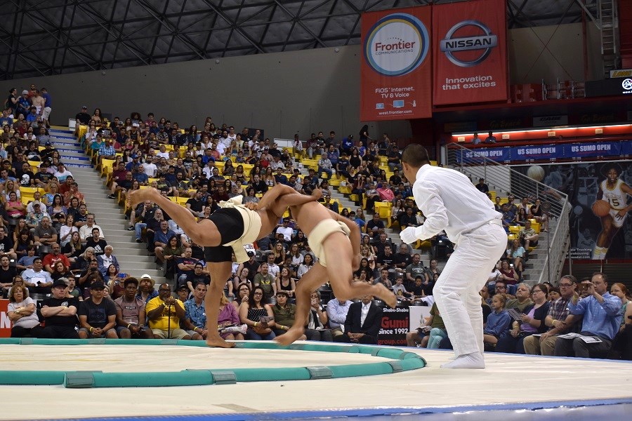sumo3