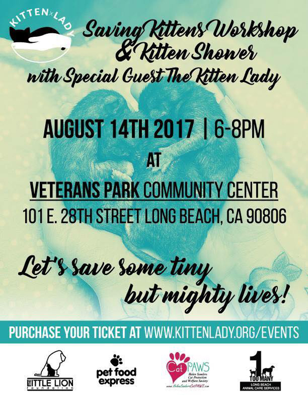 Kitten workshop
