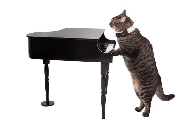 Eurobanks--Dueling Pianos