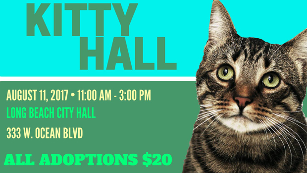 Kitty Hall