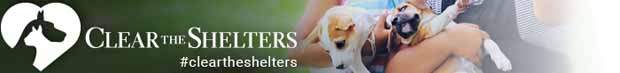 cleartheshelters feature header1