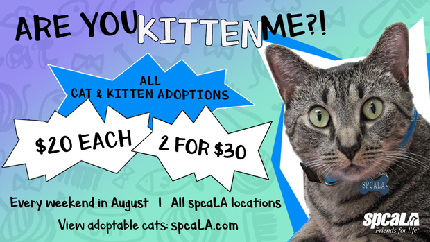 spcaLA adoption for 20