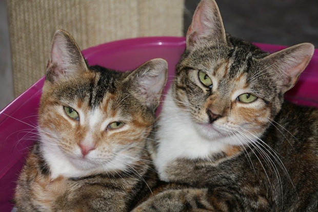 April and Arizona