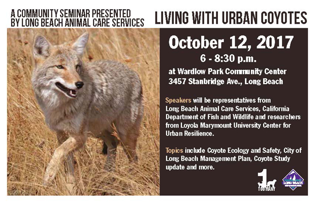 Coyote Meeting Flyer