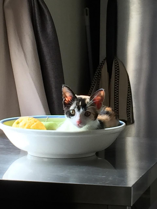 Fiona