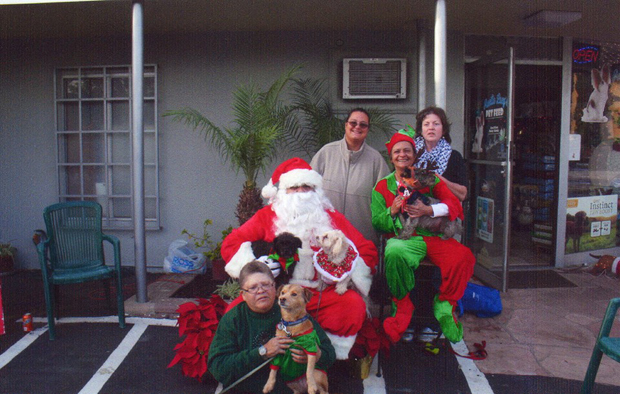 Gayle at Auntie LucyS Christmas pawty 2014