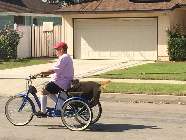 Riding off with Chloe