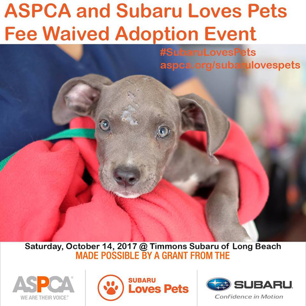 ASPCA and Subaru