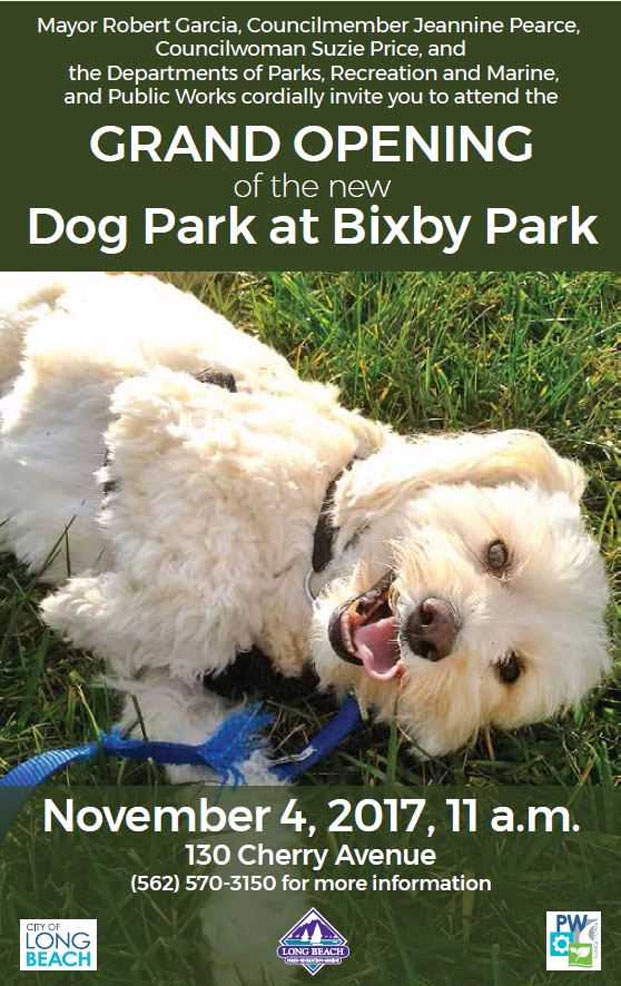 Dog Park