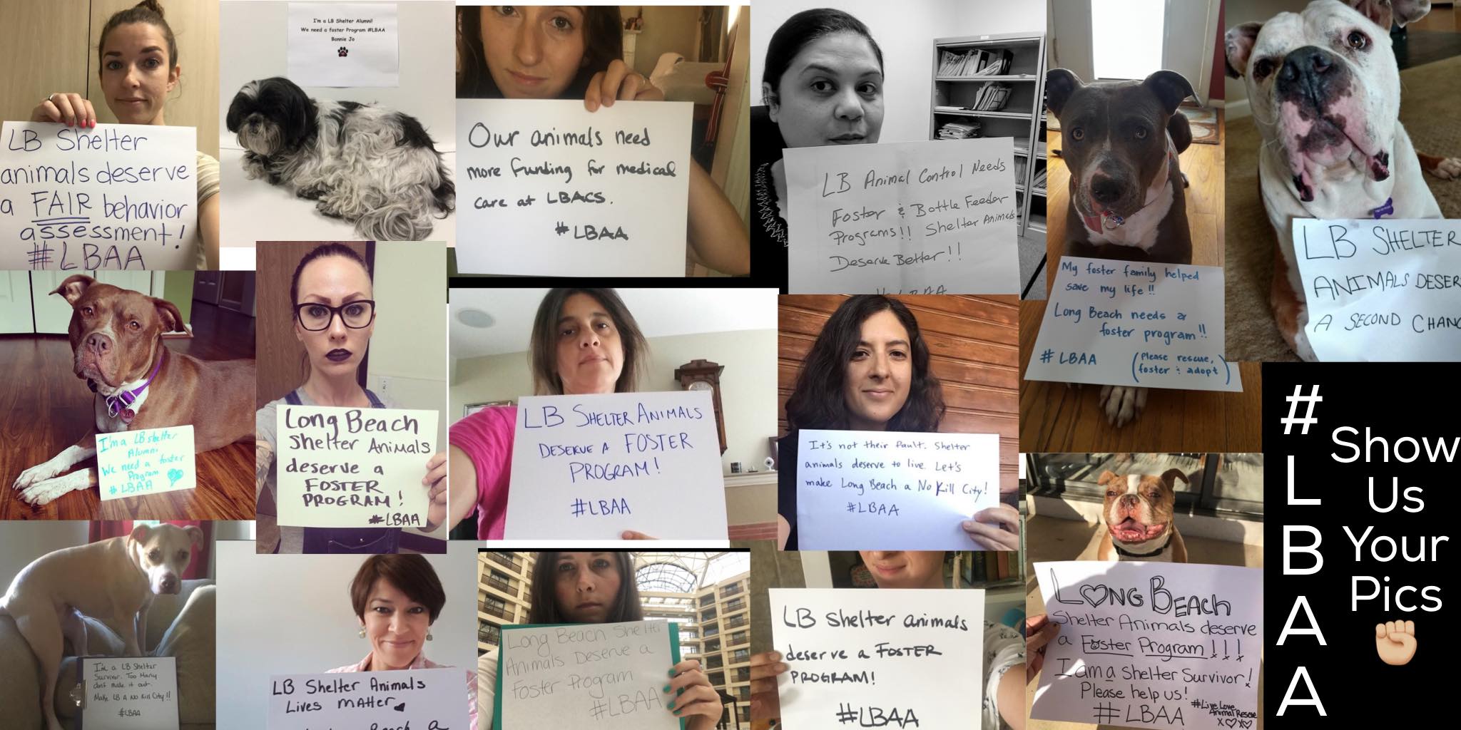 Long Beach Animal Advocates