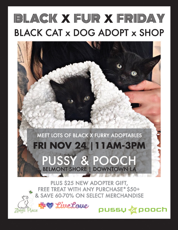 BLACK FUR FRIDAY 17