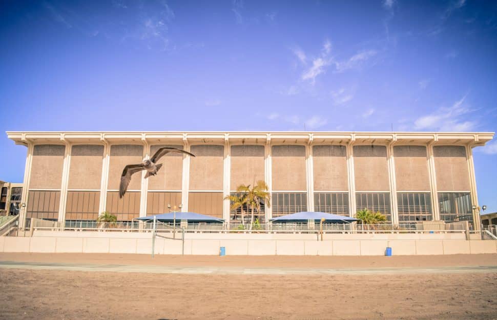 The south-facing side of the now demolished Belmont Plaza Olympic Pool. Photo by Brian Addison.