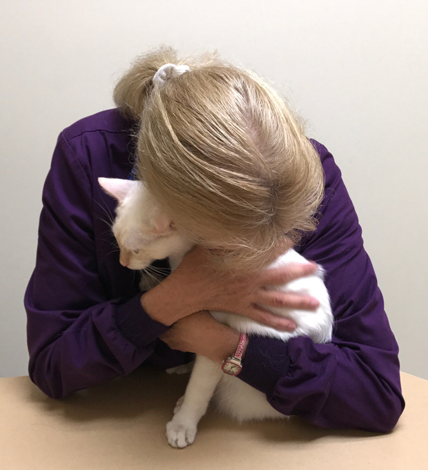 Medicating Cats 7