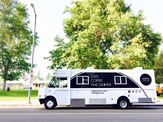white truck with Moon Cat Cafe printed on it. Windows framed in black. In parking lot under trees.