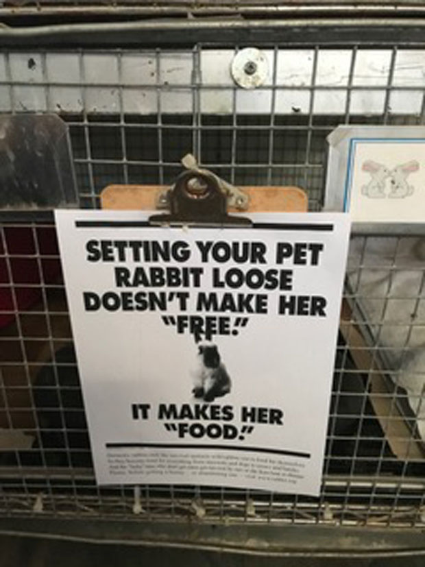 Sign in Bunny Barn