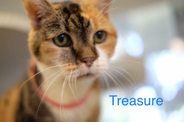 Treasure