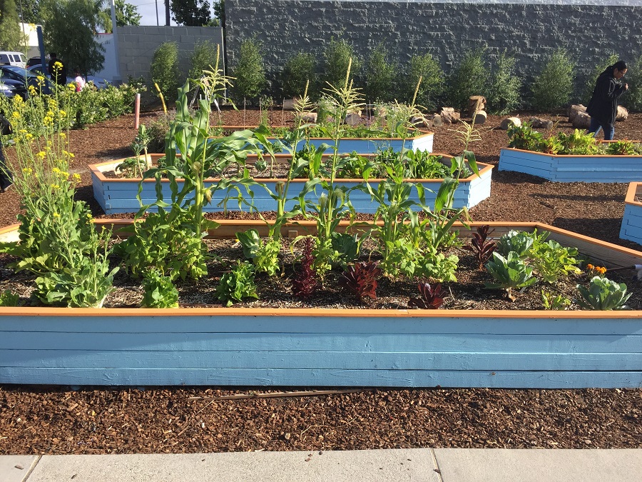 planters